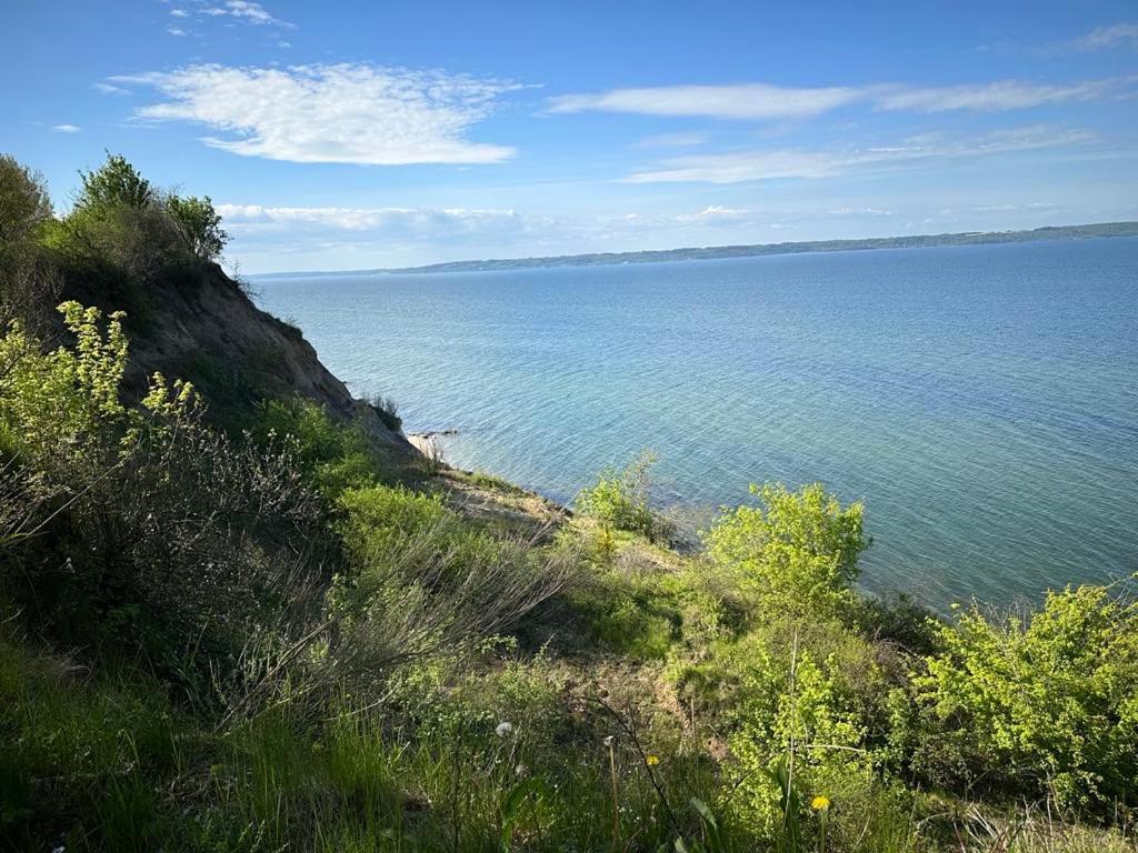 Dancamps Trelde Naes Otel Fredericia Dış mekan fotoğraf